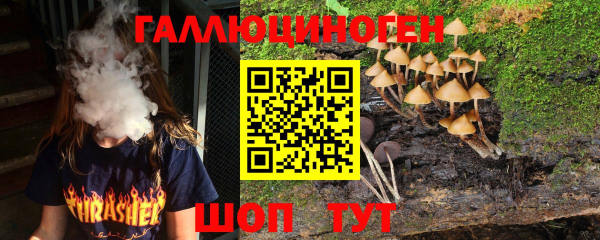 Гурьевск  Галлюциногенные грибы Cubensis  Вход с VPN  Галлюциногенные грибы прущие грибы 